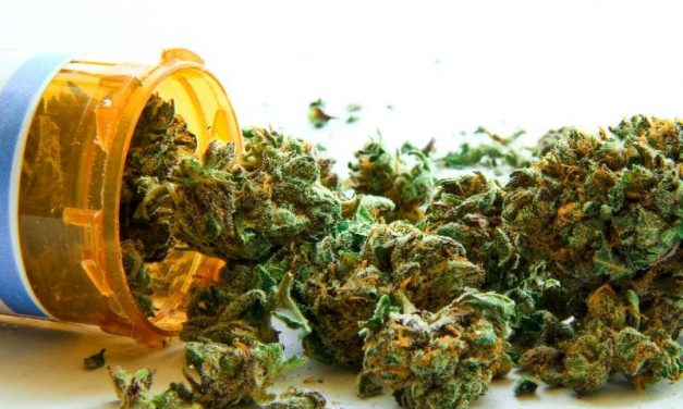 Medical Marijuana Laws May Not Impact Opioid Use