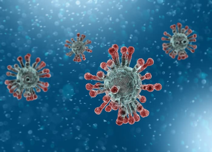 What cells does the novel coronavirus attack?