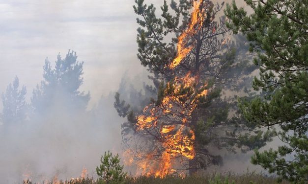 Exposure to Wildfire Smoke Ups Deaths of Hemodialysis Patients