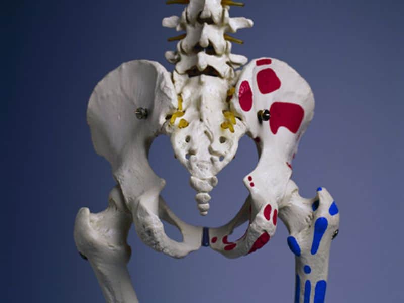 Lung-Specific Risk Factors Linked to Hip Fracture in Smokers