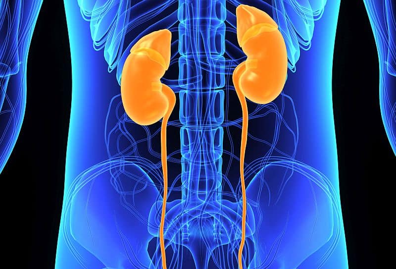 Diuretics Not Independently Linked With CKD Progression