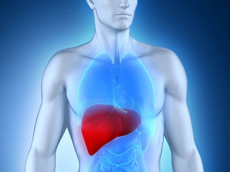 Hepatocellular Carcinoma: Support for the Fourth Leading Cancer-Related Cause of Death
