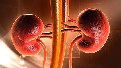 Kidney Disease May Add to Higher Risk for CVD Due to HIV