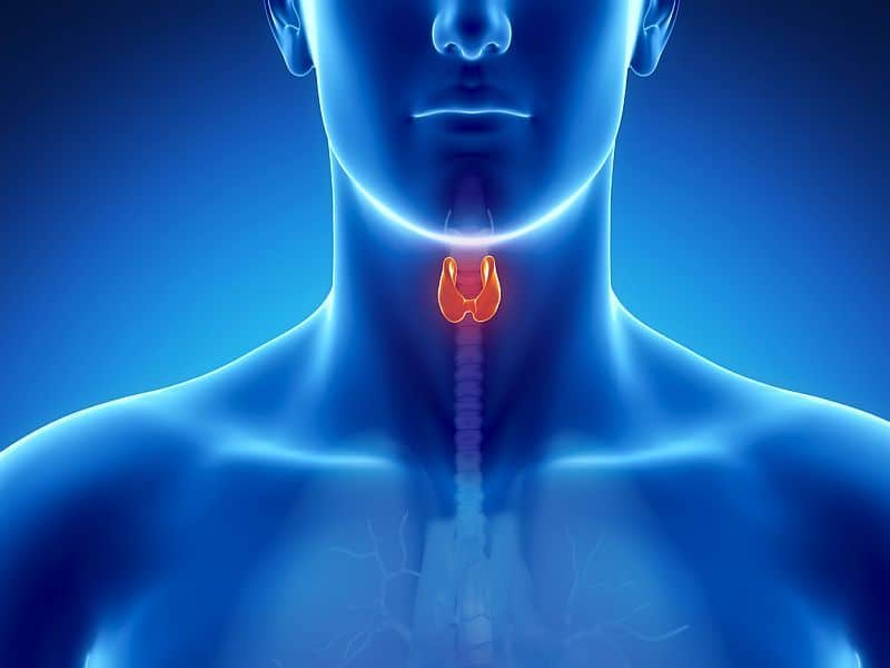 Artificial Light at Night Tied to Thyroid Cancer Risk