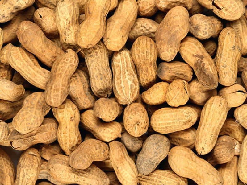 Dose-Response Analysis Could Improve Peanut Allergy Labeling