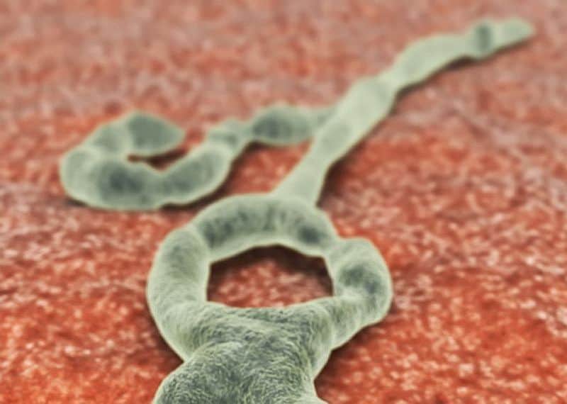 Congo Ebola Outbreak Declared Over