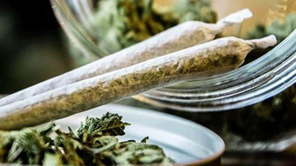 Cannabis Exposures Higher in States With Legalized Marijuana