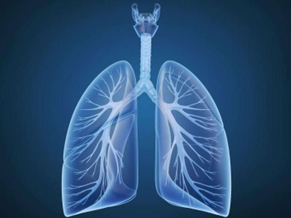 Long-Term Disparities in Respiratory Health Persist in the U.S.