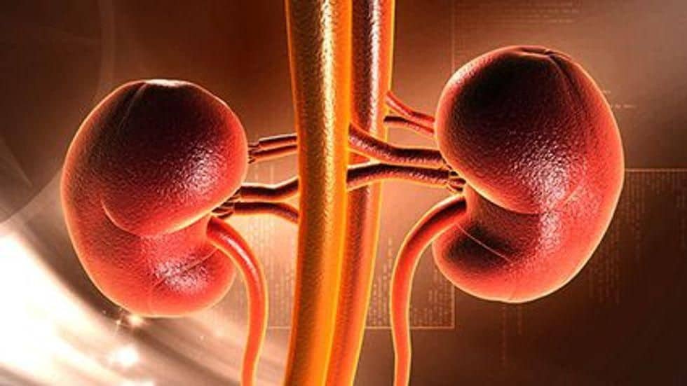 Metabolic Syndrome May Worsen Outcomes in Chronic Kidney Disease