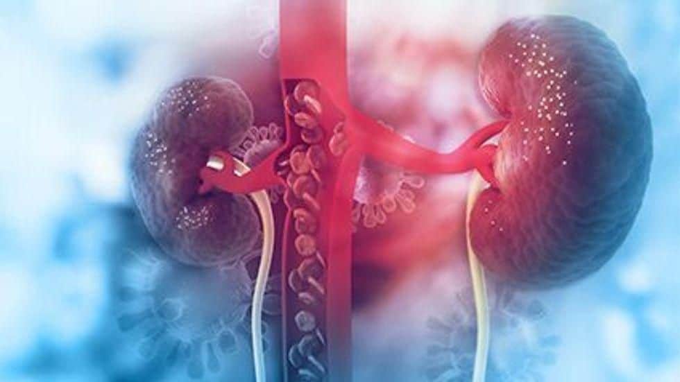 Roxadustat Treats Anemia in Non-Dialysis-Dependent CKD