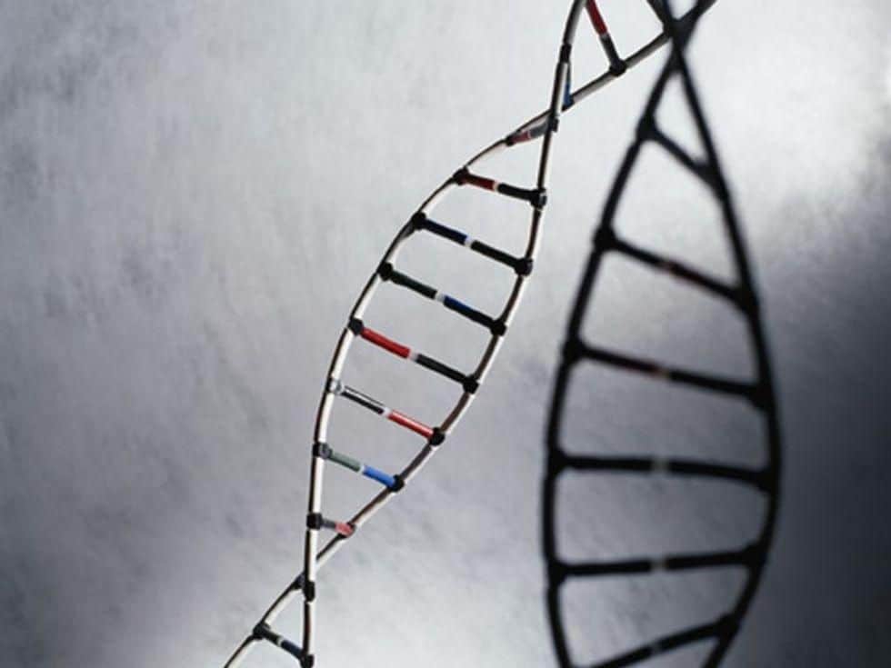 Genetic Risk for Psychiatric Disorders Linked to Brain Changes