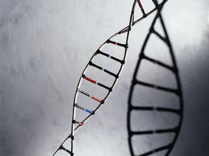 Genetic Risk for Mental Health Conditions May Affect Living Choices