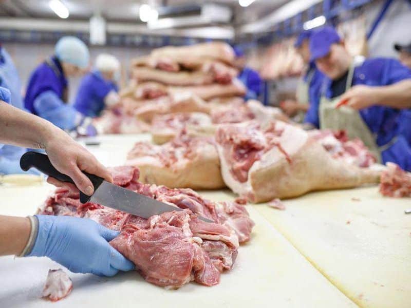 Nearly 59,000 Meatpacking Workers Caught COVID-19
