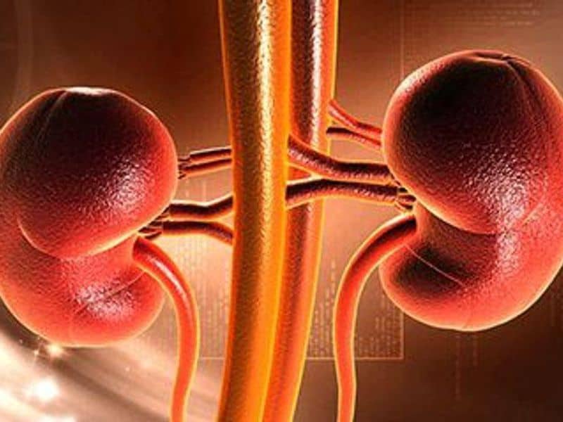 CRRT Liberation Failure Tied to Poor Outcomes in Acute Kidney Injury