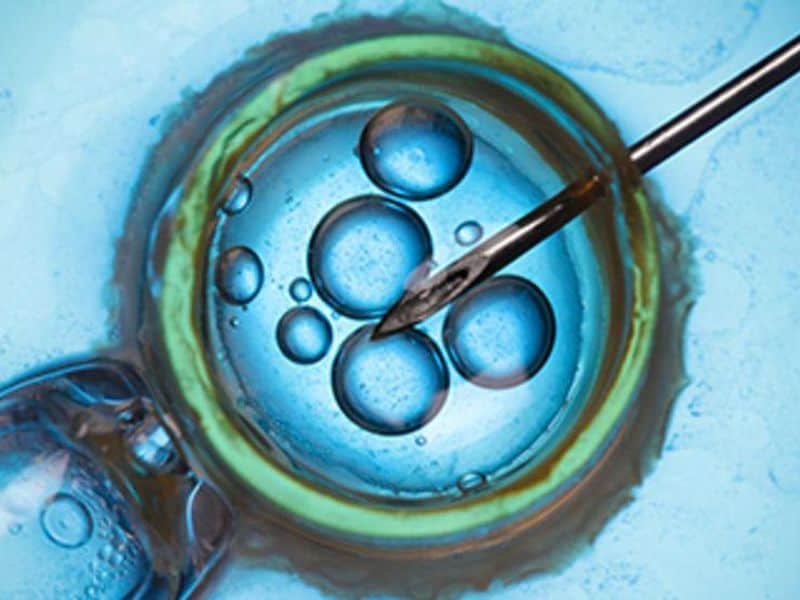 Conventional IVF Noninferior to PGT-A for Live-Birth Rate