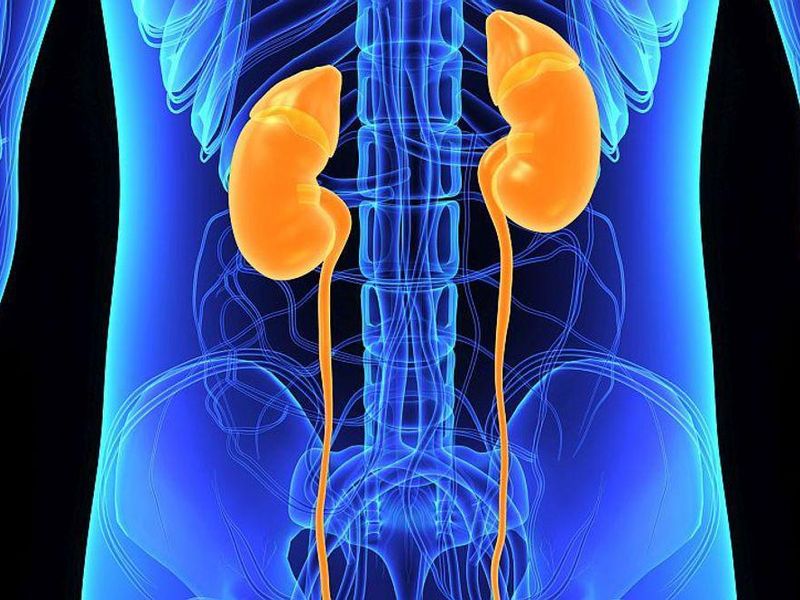 More Kidneys From Deceased Donors With AKI Being Transplanted