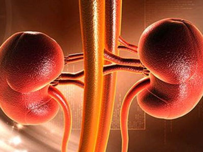 Fourth Vaccine Dose May Up COVID-19 Immunity in Kidney Transplant Recipients