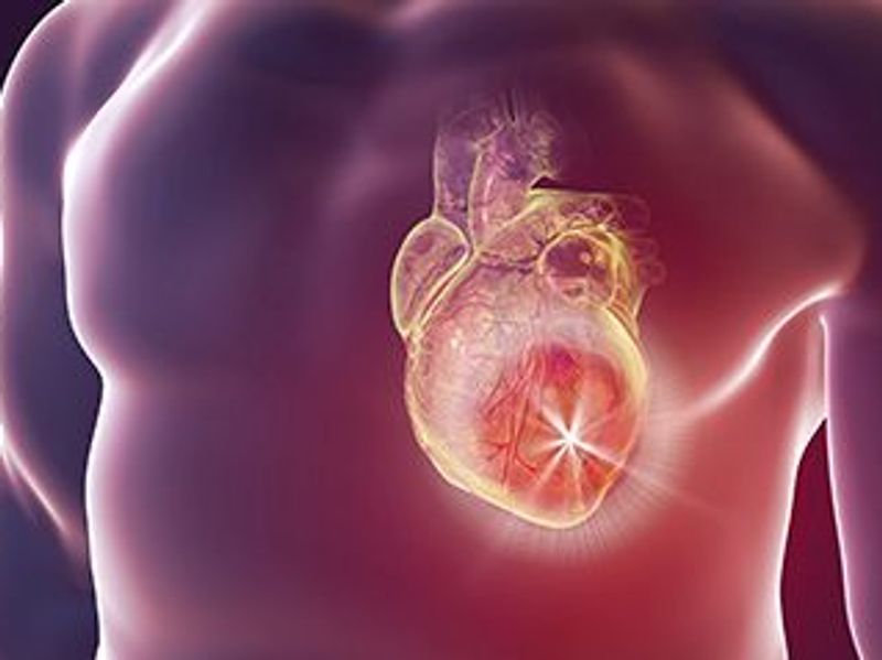 Prevalence of Coronary Heart Disease Largely Unchanged From 2011 to 2018
