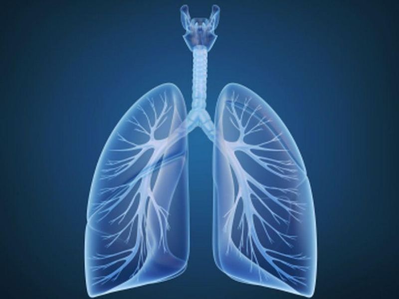Screening Nonsmokers May Up Lung Cancer Overdiagnosis, Spurious Survival Rates