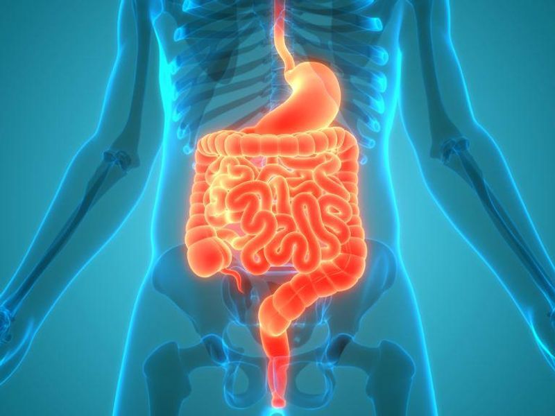 Alterations in Gut Microbiome ID’d in Postacute COVID-19 Syndrome