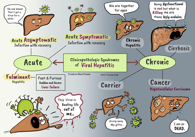 Hepatocellular Carcinoma Viral Outcomes Pathways