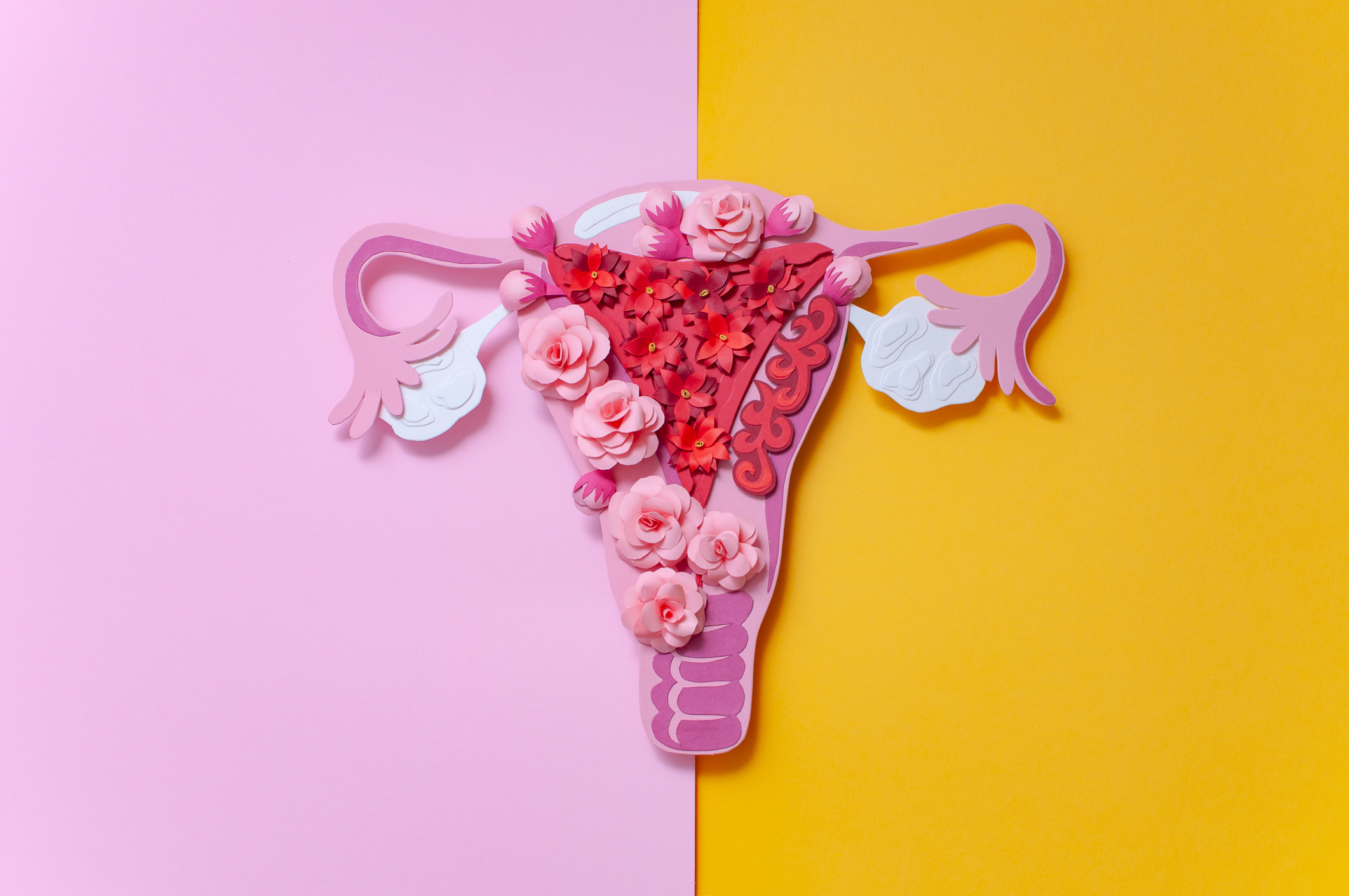 Study of Progesterone in the Treatment of Endometriosis Symptoms