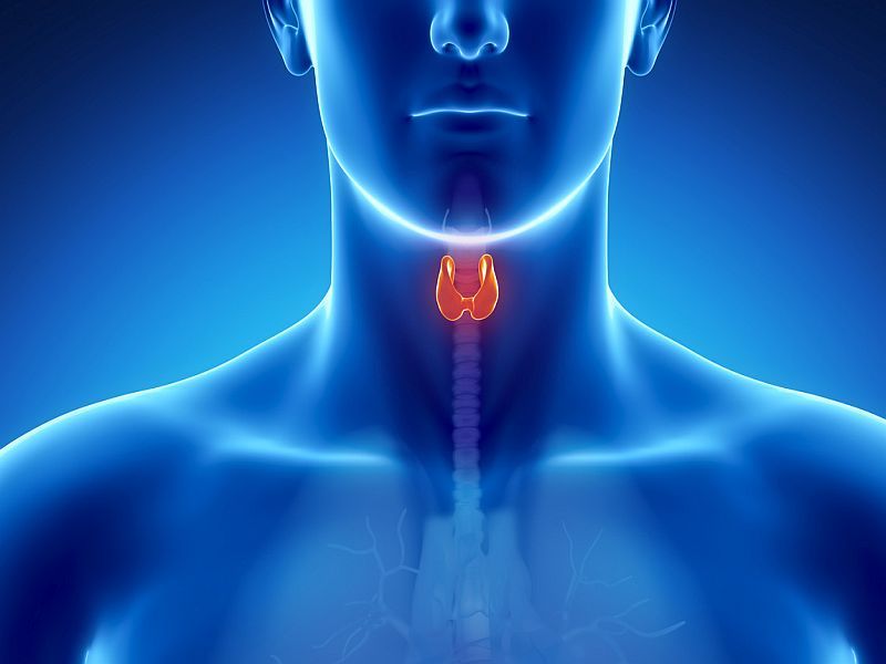 Thyroidectomy Without I-131 Noninferior in Low-Risk Thyroid Cancer