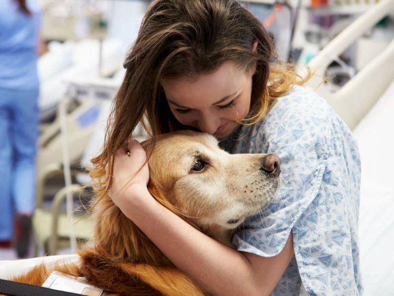 Therapy Dog Visits Lower Pain Ratings in Emergency Department