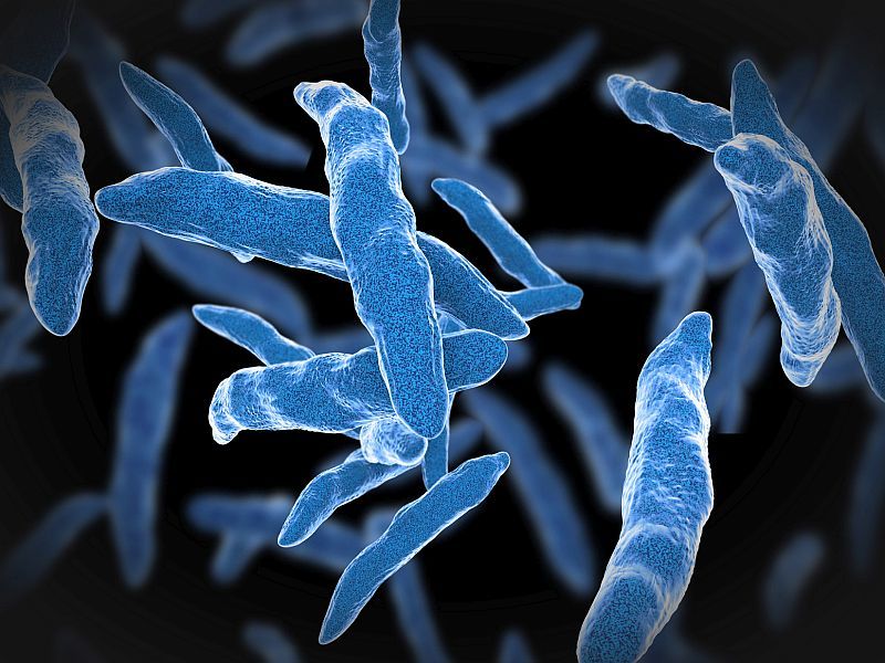 Incidence of TB Increased 9.4 Percent in U.S. During 2021