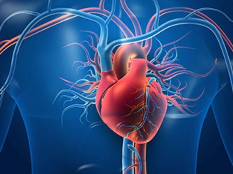 Addition of Icosapent Ethyl Cuts CV Risk in Patients With Prior PCI