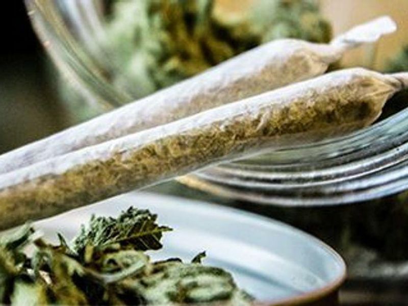 Fetal Exposure to Cannabis Linked to Adiposity in Childhood