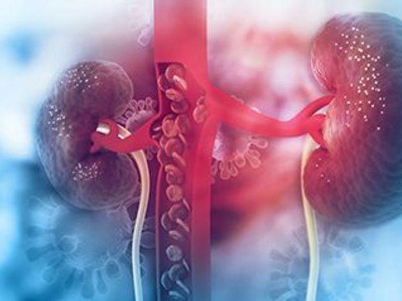 ACC: Lasting Reduction in BP Seen With Radiofrequency Renal Denervation