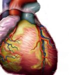 Dapagliflozin efficacious and safe in treating heart failure