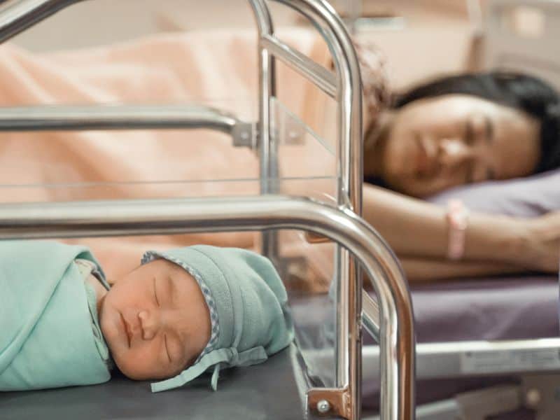 Number of Births, Fertility Rate Increased in 2021