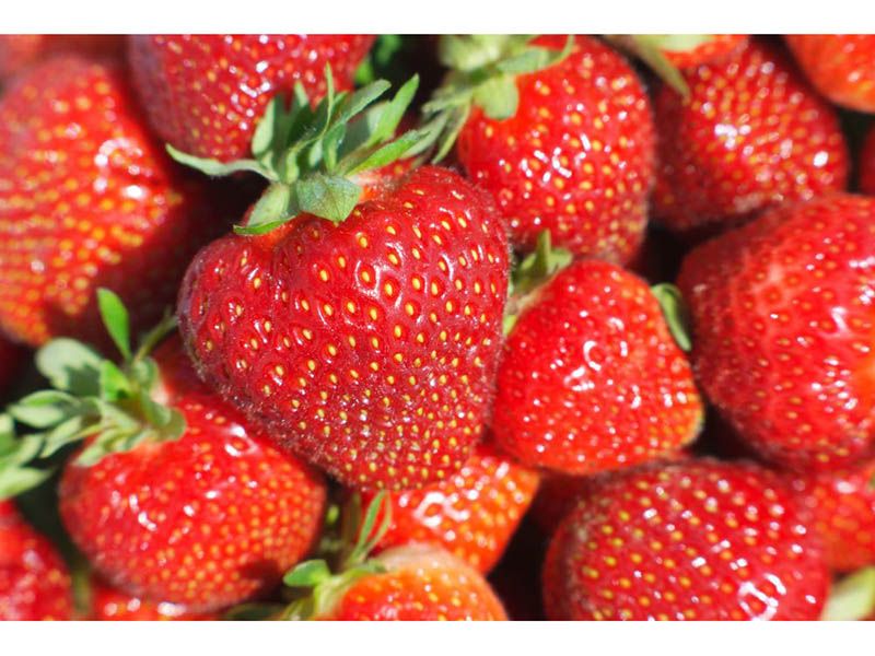 Organic Strawberries Linked to Hepatitis Cases, FDA Warns