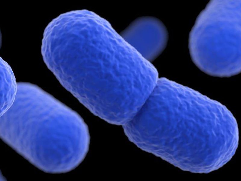 CDC Says Mystery Listeria Outbreak Has Killed One, Hospitalized 22