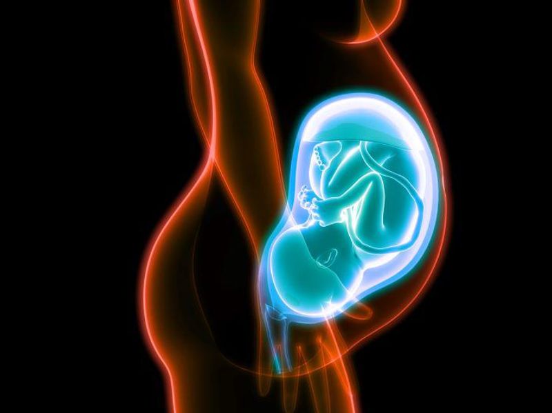 Uterus Transplant Enables Women to Gestate, Deliver Liveborn Infants
