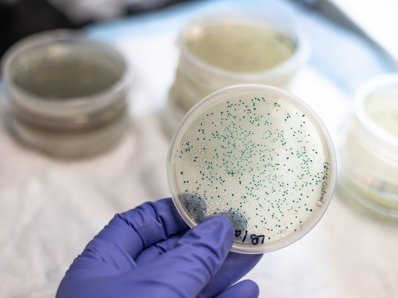 CDC Report Addresses Impact of COVID-19 on Antimicrobial Resistance