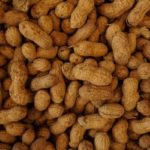 Early peanut introduction was not associated with lower prevalence of peanut allergy