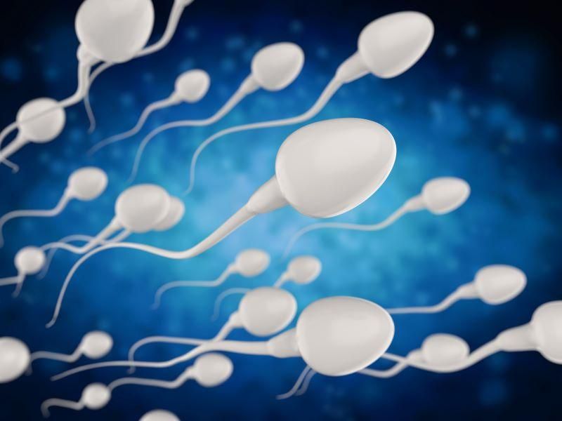 Weight Loss Tied to Better Sperm Count, Concentration