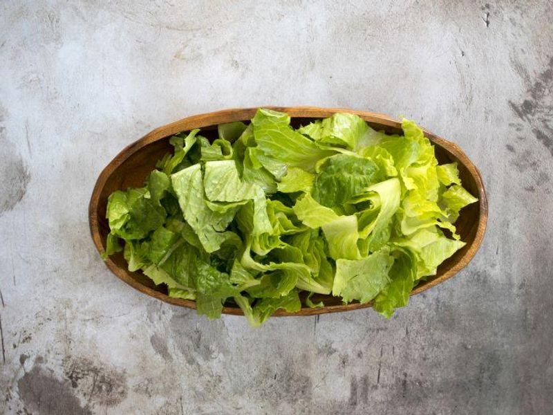 84 People Now Sickened in E. Coli Outbreak Tied to Wendy’s Restaurant Lettuce