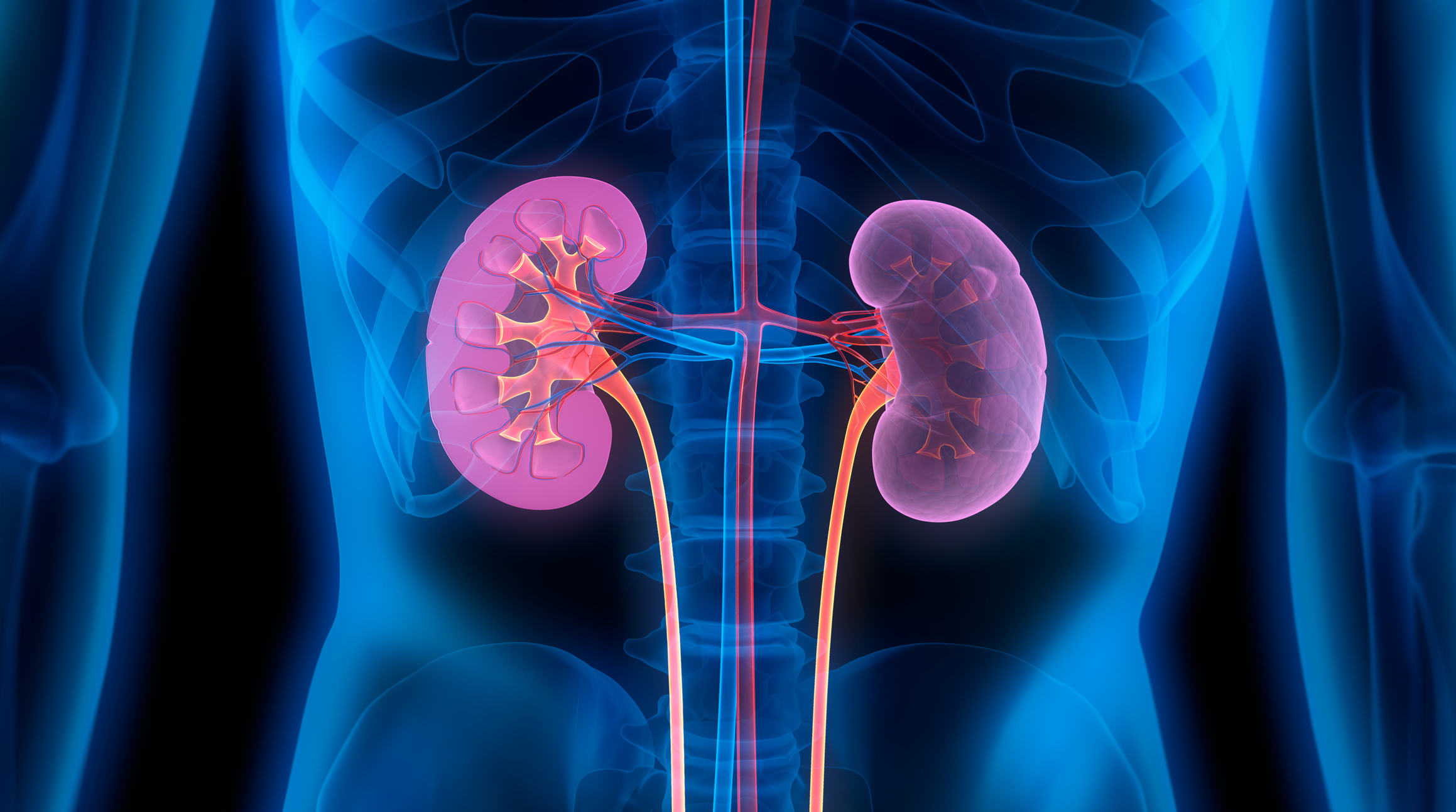 CAM Use in More Than One-Third of Patients With CKD