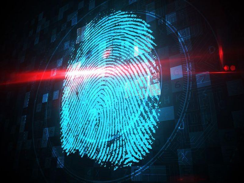 Fingerprint Images Have Potential for Predicting Schizophrenia