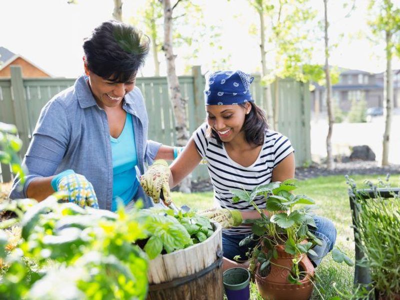 Community Gardening Improves Well-Being for Adults