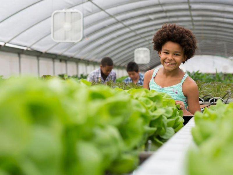 Gardening, Cooking, Nutrition Intervention at Schools Is Beneficial