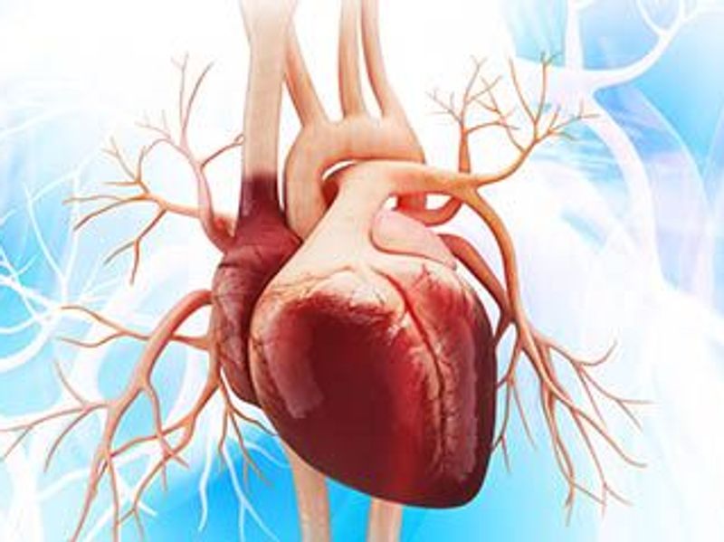 High-Sensitivity Cardiac Troponin Assays Implementation