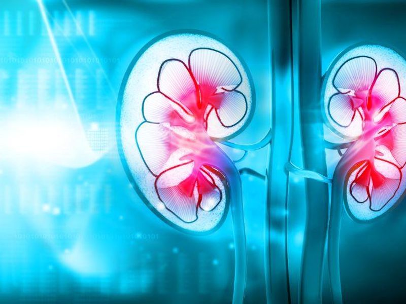 Enlarged Heart Tied to Worse Chronic Kidney Disease Outcomes