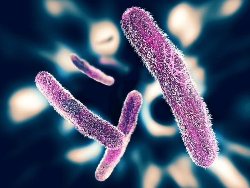 CDC Warns of Rise of Drug-Resistant Shigella Bacteria