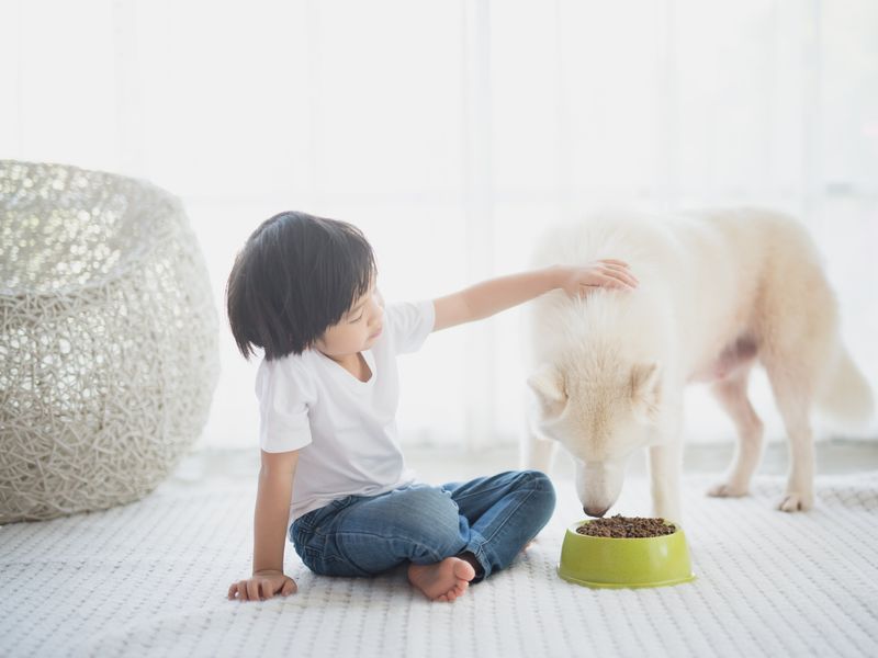Early Pet Exposure Tied to Reduced Incidence Risk for Food Allergies