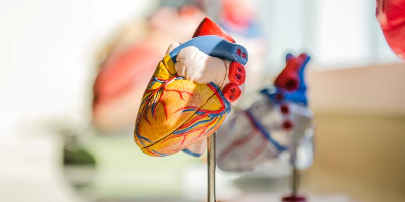 The American Heart Association’s Life Essential 8 scores to predict cardiovascular health